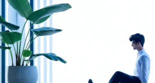 lifestyle minimalis modern panduan