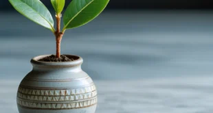 ilustrasi investasi paling dicari optimasi