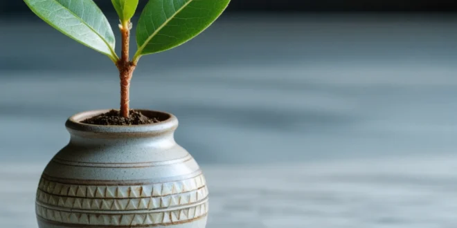 ilustrasi investasi paling dicari optimasi