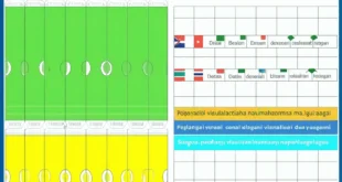 jadwal pertandingan terbaru