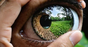 investasi menghasilkan cuan